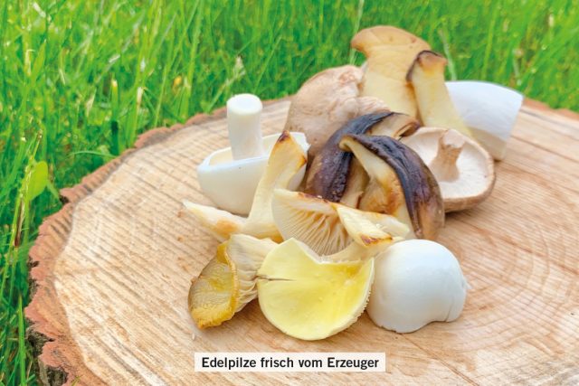 Fresh + Friends – Blog – Edelpilze frisch vom Erzeuger Fresh + Friends - Blog - Edelpilze frisch vom Erzeuger