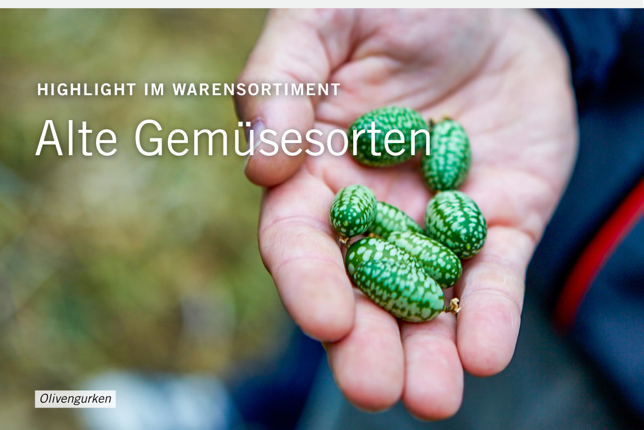 FF_NL_NRW_08:19_Blog_07